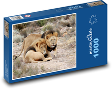 Jihoafrická republika - lvi Puzzle 1000 dílků - 60 x 46 cm