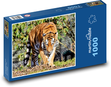 Tiger - veľká mačka Puzzle 1000 dielikov - 60 x 46 cm 