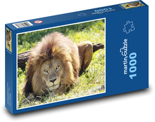Lev - zviera Puzzle 1000 dielikov - 60 x 46 cm 