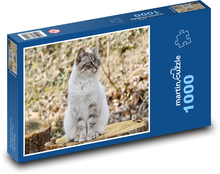 Kot - zwierzę Puzzle 1000 elementów - 60x46 cm