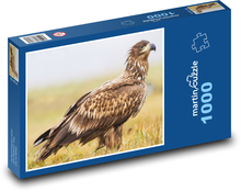 Orol morský Puzzle 1000 dielikov - 60 x 46 cm