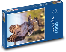 Sova Puzzle 1000 - 60x46 cm