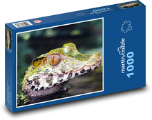 Kajman - krokodíl Puzzle 1000 dielikov - 60 x 46 cm 