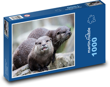 Wydra - gryzoń Puzzle 1000 elementów - 60x46 cm
