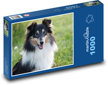 Shetland Shepherd Dog Puzzle 1000 pieces - 60 x 46 cm 