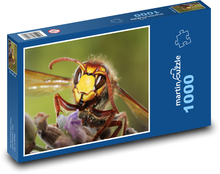 Sršeň - vosa Puzzle 1000 dílků - 60 x 46 cm