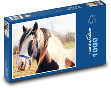 Głowa białobrązowego konia Puzzle 1000 elementów - 60x46 cm