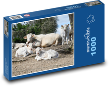 Odpočívající krávy a telata Puzzle 1000 dílků - 60 x 46 cm