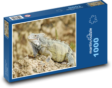 Iguana on stone Puzzle 1000 pieces - 60 x 46 cm 
