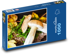 Podzimní nadílka hub Puzzle 1000 dílků - 60 x 46 cm