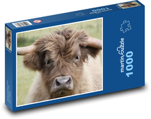 Chlupatá hnědá kráva Puzzle 1000 dílků - 60 x 46 cm