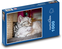 Dwa śpiące koty Puzzle 1000 elementów - 60x46 cm