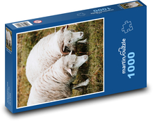 Zwei Schafe auf der Weide Puzzle 1000 Teile - 60 x 46 cm