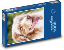 Głowa psa - Collie Puzzle 1000 elementów - 60x46 cm