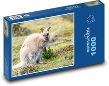 Kangaroo cub at the zoo Puzzle 1000 pieces - 60 x 46 cm