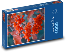 Kalina červené bobule Puzzle 1000 dielikov - 60 x 46 cm 
