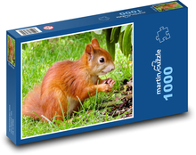 Zardzewiała wiewiórka na trawie Puzzle 1000 elementów - 60x46 cm