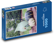Tekvicové záhradné dekorácie Puzzle 1000 dielikov - 60 x 46 cm
