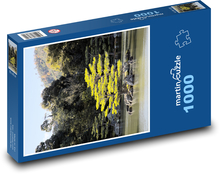 Drzewa na powierzchni wody Puzzle 1000 elementów - 60x46 cm