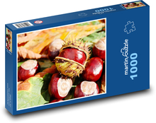 Symbol jesieni - kasztan Puzzle 1000 elementów - 60x46 cm
