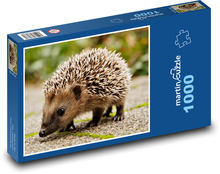 Ein kleiner Igel auf dem Bürgersteig Puzzle 1000 Teile - 60 x 46 cm