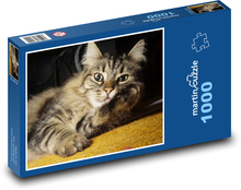 Norwegische Waldkatze Puzzle 1000 Teile - 60 x 46 cm