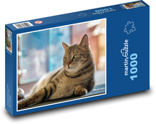 Domáca mačka Puzzle 1000 dielikov - 60 x 46 cm