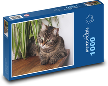 Mourovatá kočka na stole Puzzle 1000 dílků - 60 x 46 cm