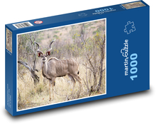 Kudu in the African savannah Puzzle 1000 pieces - 60 x 46 cm 