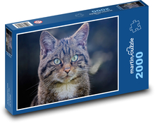 Scottish Wildcat Puzzle 2000 elementów - 90x60 cm