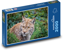 Eurasischer Luchs im Wald Puzzle 2000 Teile - 90 x 60 cm