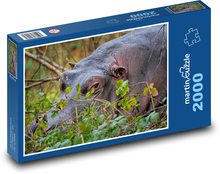 Odpočívající hroch nilský Puzzle 2000 dílků - 90 x 60 cm