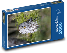 Biela sova Puzzle 2000 dielikov - 90 x 60 cm