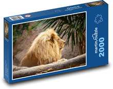 Lew - król zwierząt Puzzle 2000 elementów - 90x60 cm