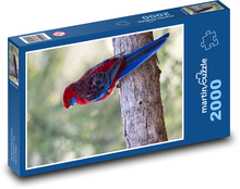 Rozela Pennantova - Australischer Papagei Puzzle 2000 Teile - 90 x 60 cm