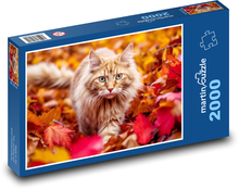 Kočka lezoucí v podzimním listí Puzzle 2000 dílků - 90 x 60 cm