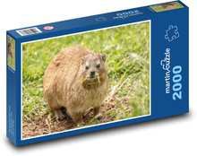 Daman - African animal Puzzle 2000 pieces - 90 x 60 cm