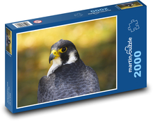 Gyrfalcon - Falke Puzzle 2000 Teile - 90 x 60 cm