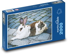 Królik - zwierzę domowe Puzzle 2000 elementów - 90x60 cm