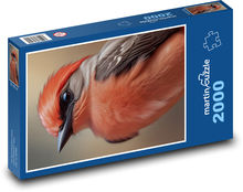 Ptak z pomarańczowymi piórami Puzzle 2000 elementów - 90x60 cm