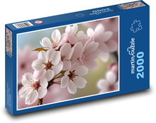 Kwiaty wiśni - drzewo, wiosna w ogrodzie Puzzle 2000 elementów - 90x60 cm