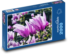 Purple Magnolia - Flower, Garden Puzzle 2000 pieces - 90 x 60 cm