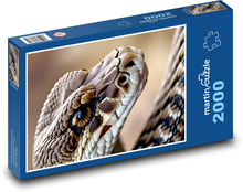 Rattlesnake - had, zviera Puzzle 2000 dielikov - 90 x 60 cm