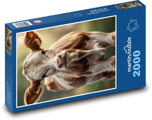 Mladé telátko - domácí zvíře Puzzle 2000 dílků - 90 x 60 cm