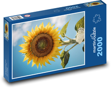 Žlutá slunečnice - letní květina Puzzle 2000 dílků - 90 x 60 cm