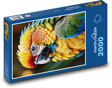Ara parrot - bird Puzzle 2000 pieces - 90 x 60 cm