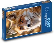 Fox - forest animal Puzzle 2000 pieces - 90 x 60 cm