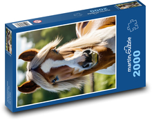 On the Farm Puzzle 2000 pieces - 90 x 60 cm