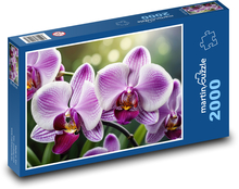 Fioletowe kwiaty orchidei Puzzle 2000 elementów - 90x60 cm