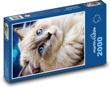 Blauäugige Katze Puzzle 2000 Teile - 90 x 60 cm